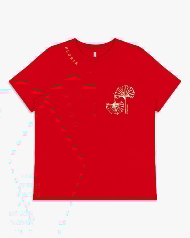 Camiseta Feminina Plus Size em Meia Malha com Estampa - Cereja Rosa -Tomato-34cbb078-e721-4084-8f4f-481925c83491