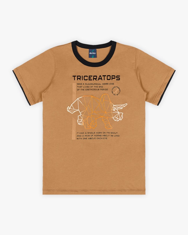 Camiseta Infantil Masculina Estampa Triceratops - ReiRex - Capim Dourado-96c5b4be-b809-40a4-9940-71df0dd93e5b