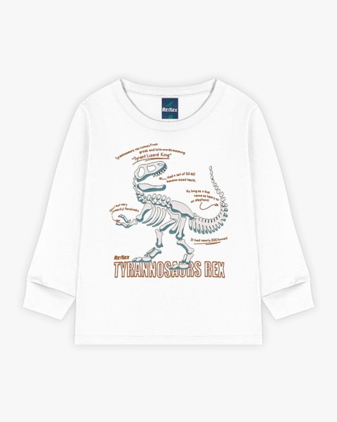 Camiseta Infantil Menino Manga Longa Estampa Dinossauro - ReiRex - Branco
